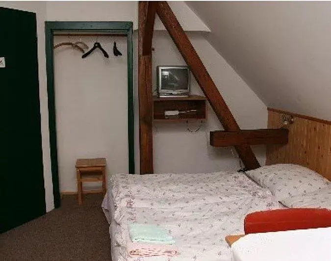 Photo 2 of Penzion Pod Kaštany